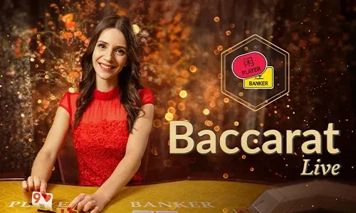 24/7 Customer Service icon
